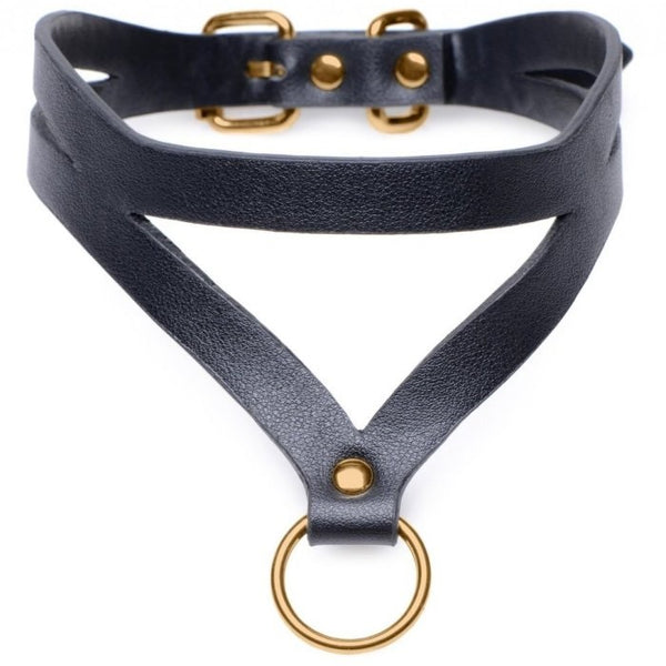 Sexbuyer Black And Gold Collar With Leash Kit